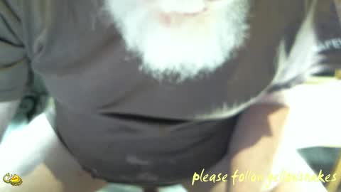 .     y e l l o w s n a k e s       . online show from April 19, 6:10 pm