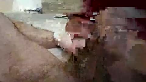 ytdecoy76 online show from November 10, 12:02 am