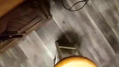 yupthatshim online show from January 23, 5:35 am