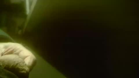 zaboski4 online show from November 26, 9:17 am