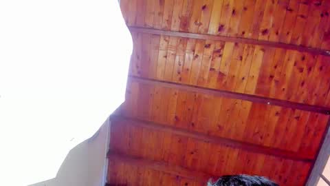 Zeus Brant online show from December 22, 1:07 pm