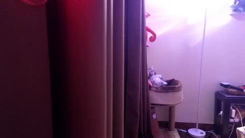 Ziggy ziggy-   online show from February 2, 2:02 pm